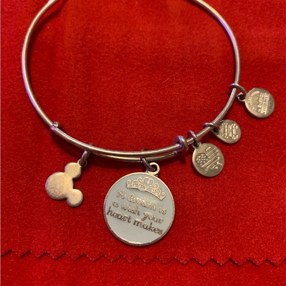 Alex and Ani Silver Charm Bracelet
